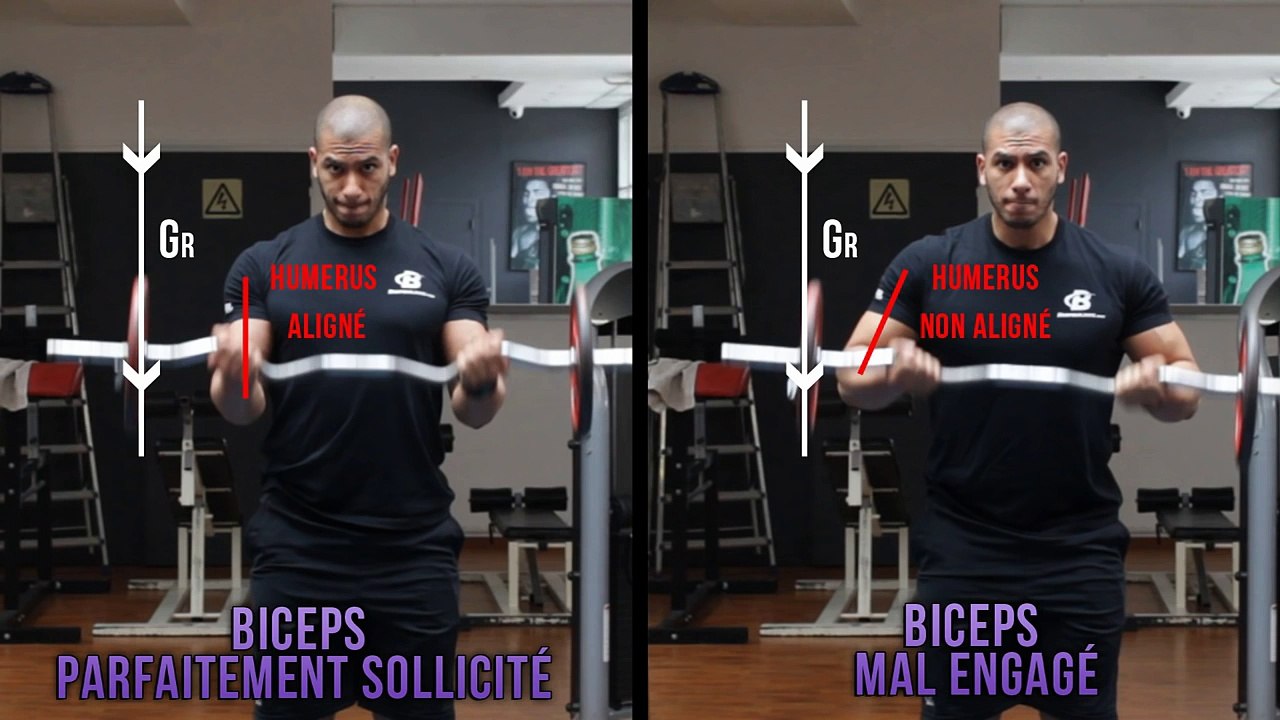 Les conseils FITNASS - Curl Biceps:Squat:Ecarte couché:Pull Over