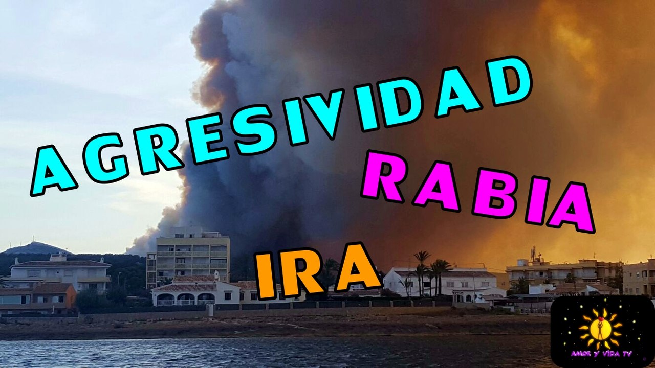 Agresividad, rabia, ira
