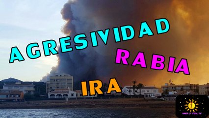 Agresividad, rabia, ira