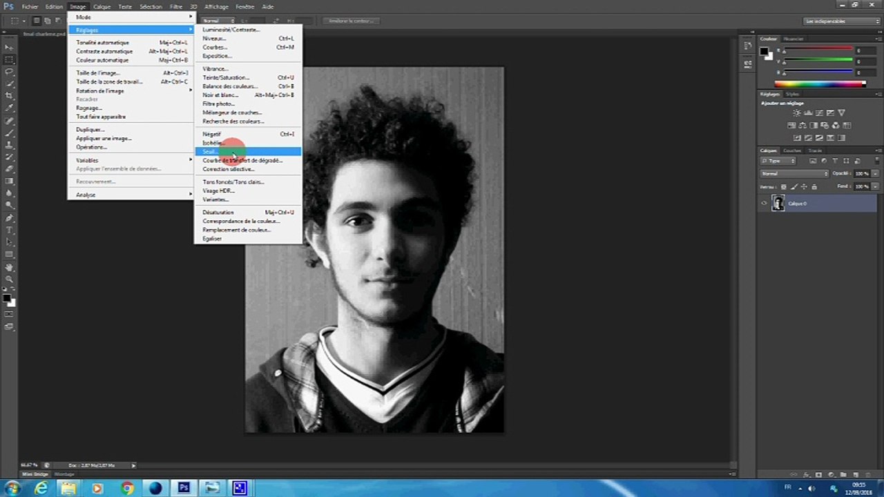 tuto photoshop preparer un portrait pour technique graphique