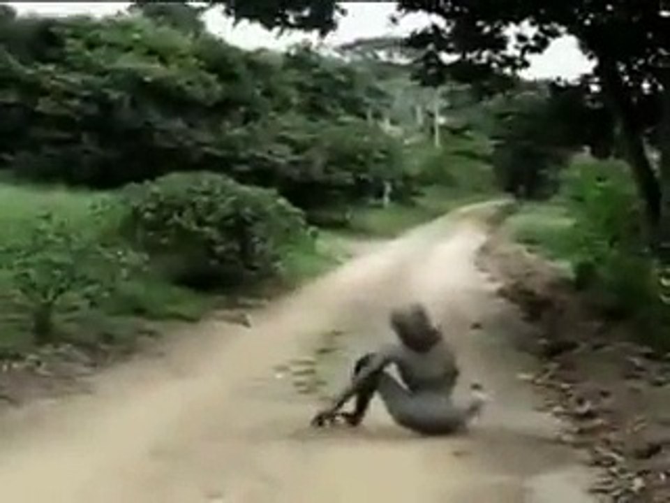 OMG!!! What kind of creation is this-