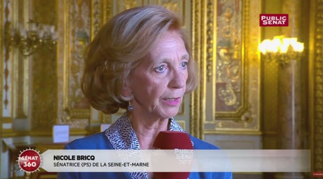 Alstom : Nicole Bricq fustige les attaques débiles contre Macron