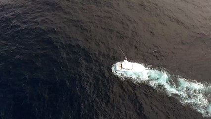 Amazing Blue Marlin Jump off Costa Rica