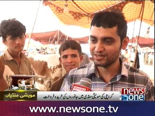 Sales surge in Karachi's cattle market