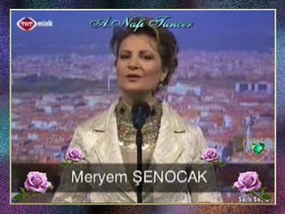 Meryem ŞENOCAK - Evlerinin Önü Nane Maydanoz