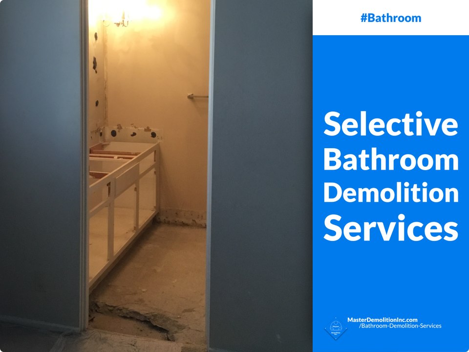 Selective Bathroom Demolition Services