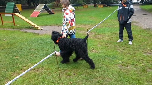 Представьте, что нет рая, It's easy if you try, Лишь неба синева, No hell below us, Не существует ада, Above us only sky