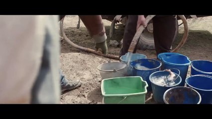 Mükemmel Bir Gün - A Perfect Day (2015) Fragman