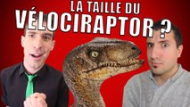 IDÉE REÇUE #12 : La taille du Vélociraptor (feat. Taupe10)