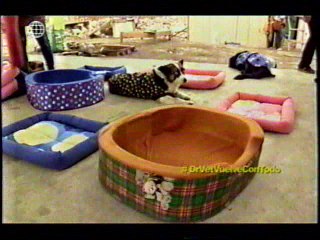 Silvana Cañote y Stefano Salvini en Voluntarios por un dia