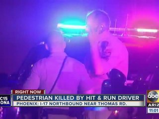 Stranded motorist hit and killed on Interstate 17