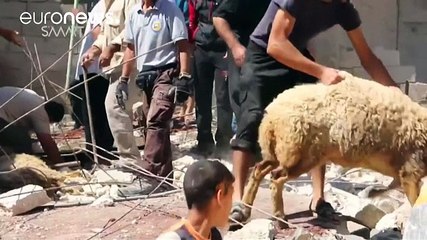 Syrien: Waffenruhe in Kraft - Armee will sich sieben Tage daran halten