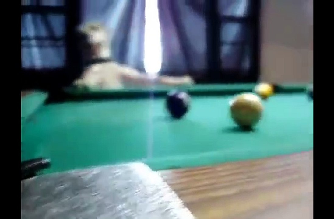 Un grand joueur de billard