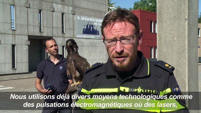 Aigles vs drones:les nouvelles recrues de la police néerlandaise