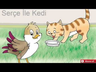Şakacı Balıklar ve Serçe İle Kedi
