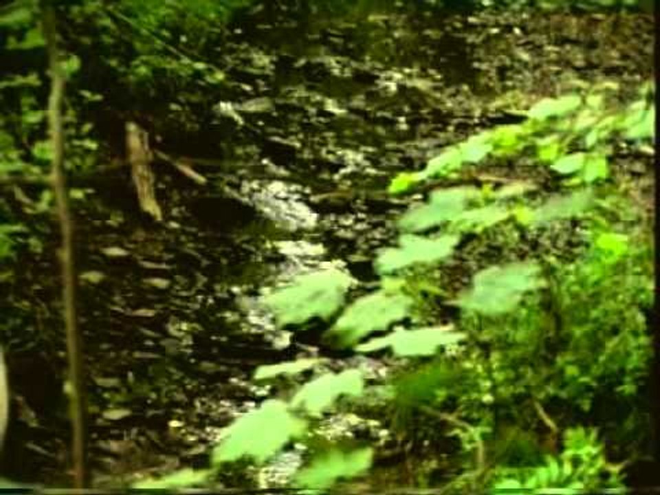 Hz. İbrahim - Peygamberler Tarihi