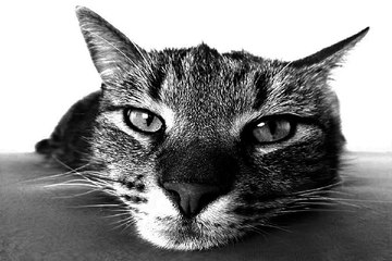 찜알바,『zzimalba.com』,언니알바, 주점알바