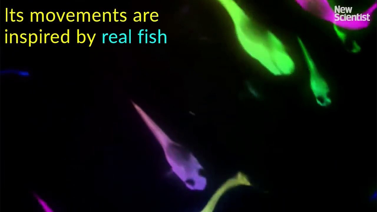 Nanopeces para tratamientos