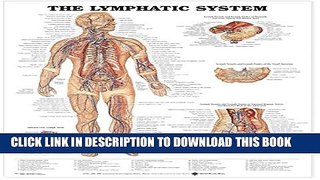 Collection Book The Lymphatic System Anatomical Chart