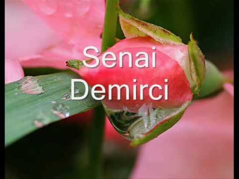 Gül Oldum | Senai Demirci