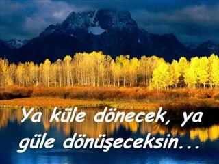 Sen Ve Son   Senai Demirci