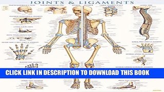 Collection Book Joints   Ligaments - Laminated