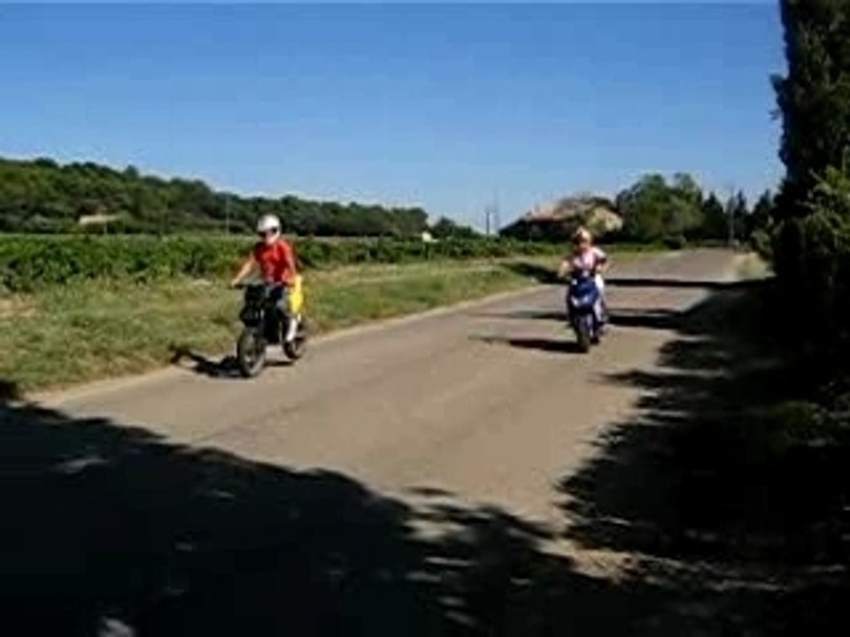 stunt 50cc