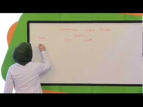 İlköğretim 4. Sınıf Fen ve Teknoloji Eğitim Seti Maddeyi Tanıyalım