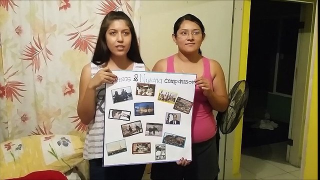 Evidence 2 disadvantages & advantages; Francia & Nigeria