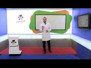 9. Sınıf Dil ve Anlatım Görüntülü Eğitim Seti İletişimde Gösterge