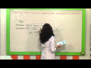 AÖF Medeni Usul Hukuku