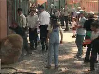 Şakacı - Oyuncak Ayı