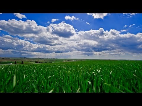 Ayetel Kürsi Arapça Okunuşu ve Türkçe Meali Fatih Çollak