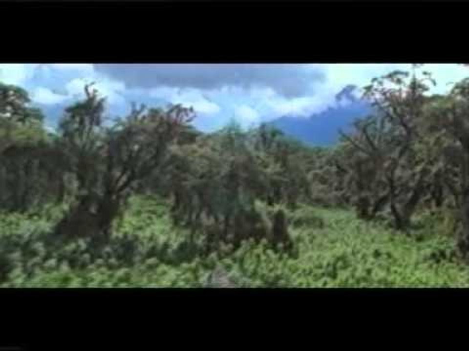 Hz. Lut - Peygamberler Tarihi