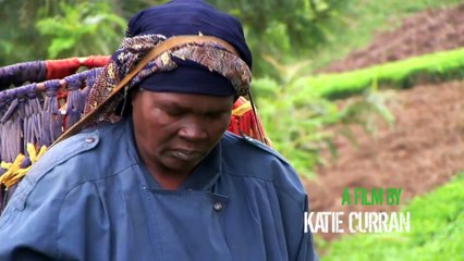 GREENING THE ROVOLUTION