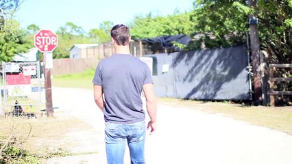 friendship between hyena and humans