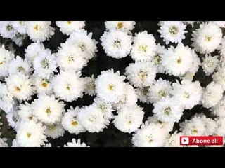 Kalp Uyanır mı - Abdullah Takdim