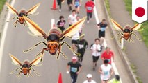 マラソン大会中にランナーら115人がハチに刺される