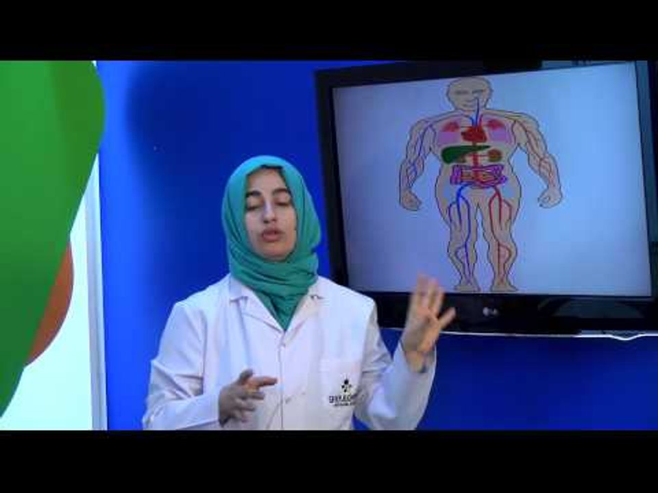 Görüntülü Akademi 6. Sınıf Fen Bilimleri Görüntülü Eğitim Seti (Dolaşım Sistemi)