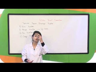 Temel Hukuk (Temel Hukuk Bilgileri)