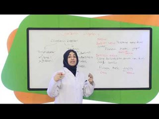 İlköğretim 8.Sınıf Türkçe Eğitim Seti Cümlenin Öğeleri