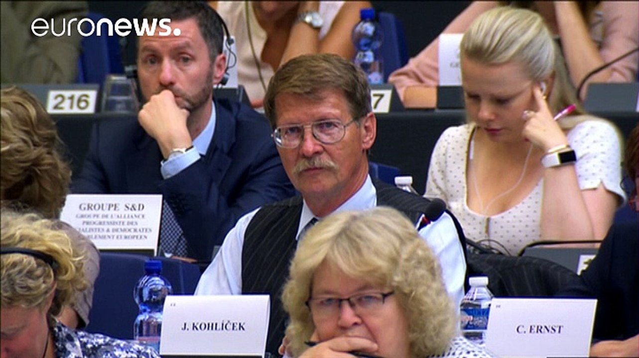 EU-Parlament prüft den Briten King als EU-Kommissar für Sicherheit und Terrorfragen