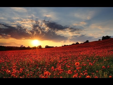 Venhar SAĞIROĞLU İle Her Telden Ebruli & Abdurrahim KARAKOÇ - Gönlümdeki Gurbet