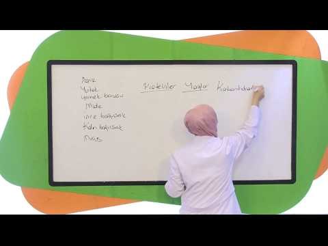 7.Sınıf Fen ve Teknoloji Görüntülü Eğitim Seti Soru Çözümleri