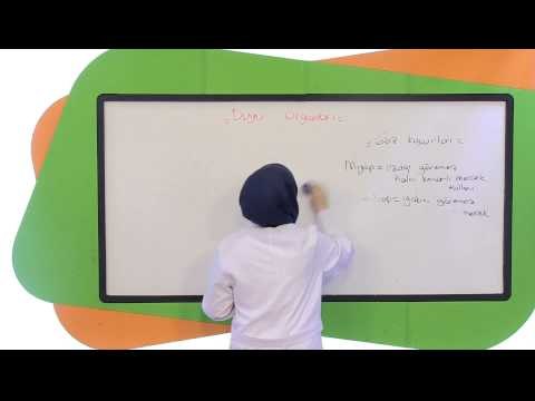 7.Sınıf Fen ve Teknoloji Görüntülü Eğitim Seti Duyu Organları