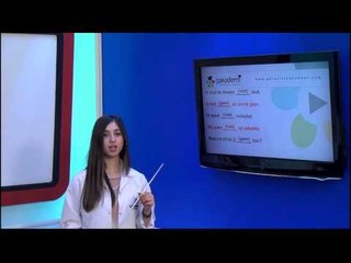 Flemenkçe Orta Düzey