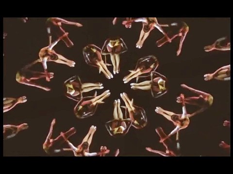 = Kylie Minogue - Chocolate