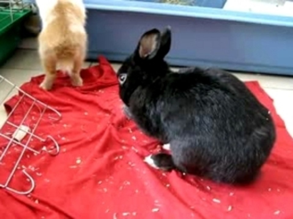 Touk et caramelle