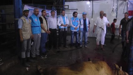 Tdv, Kurban Bayramı Boyunca 100 Sığır Kesecek
