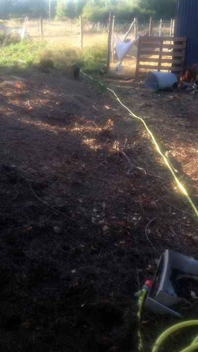 Le cri de la Pistache sept16